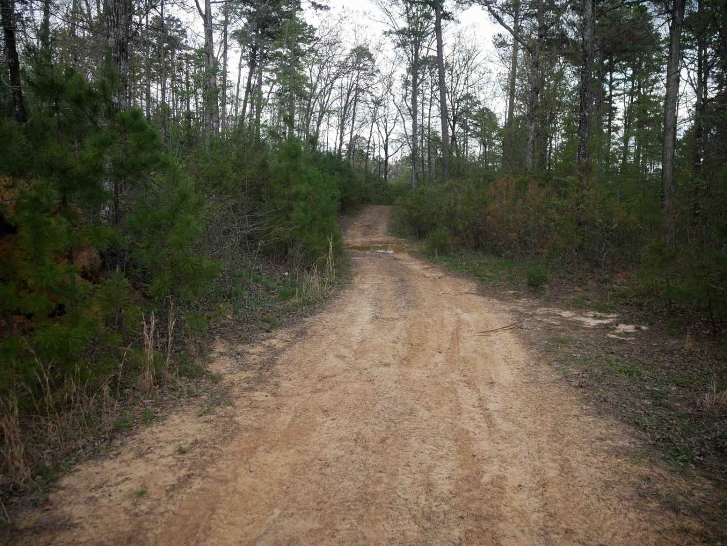 High Mountain Loop B