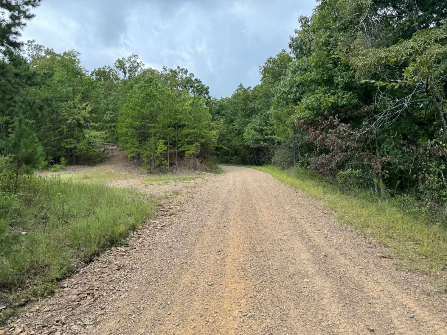 Bear Hollow - Trail 1627