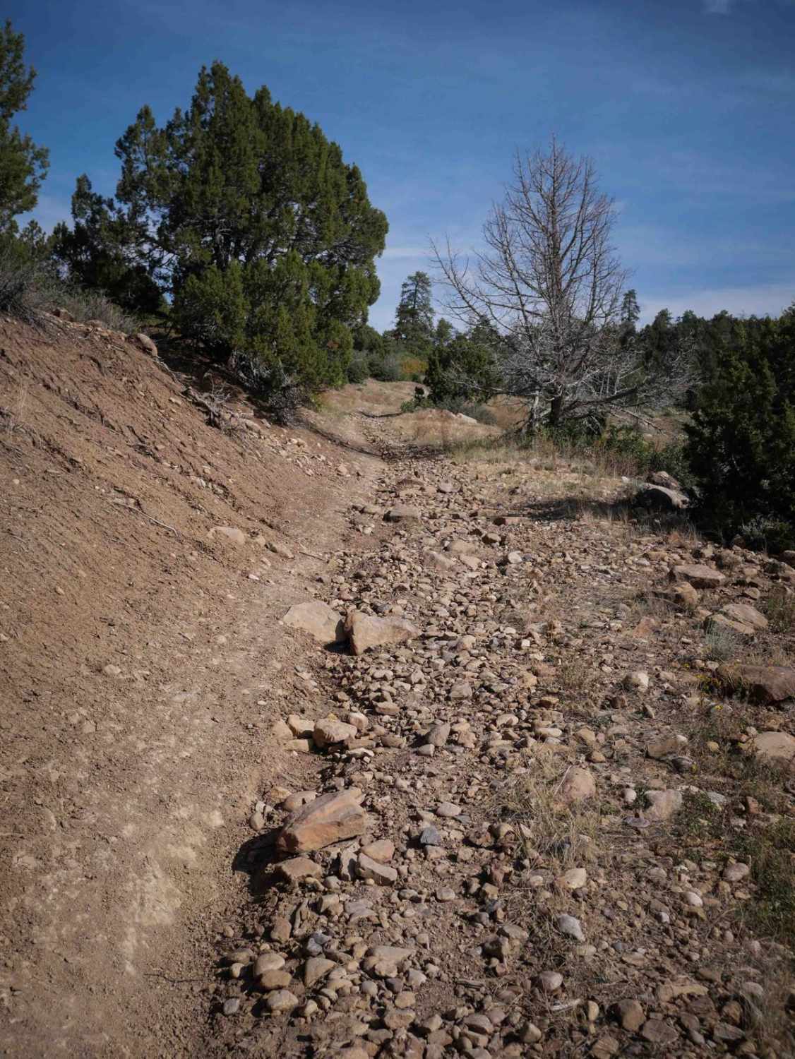 Lange Canyon 