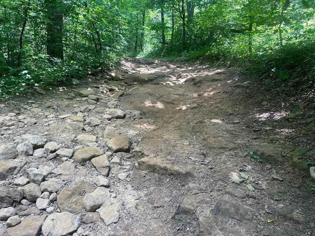 Lindsey Ridge - 1547