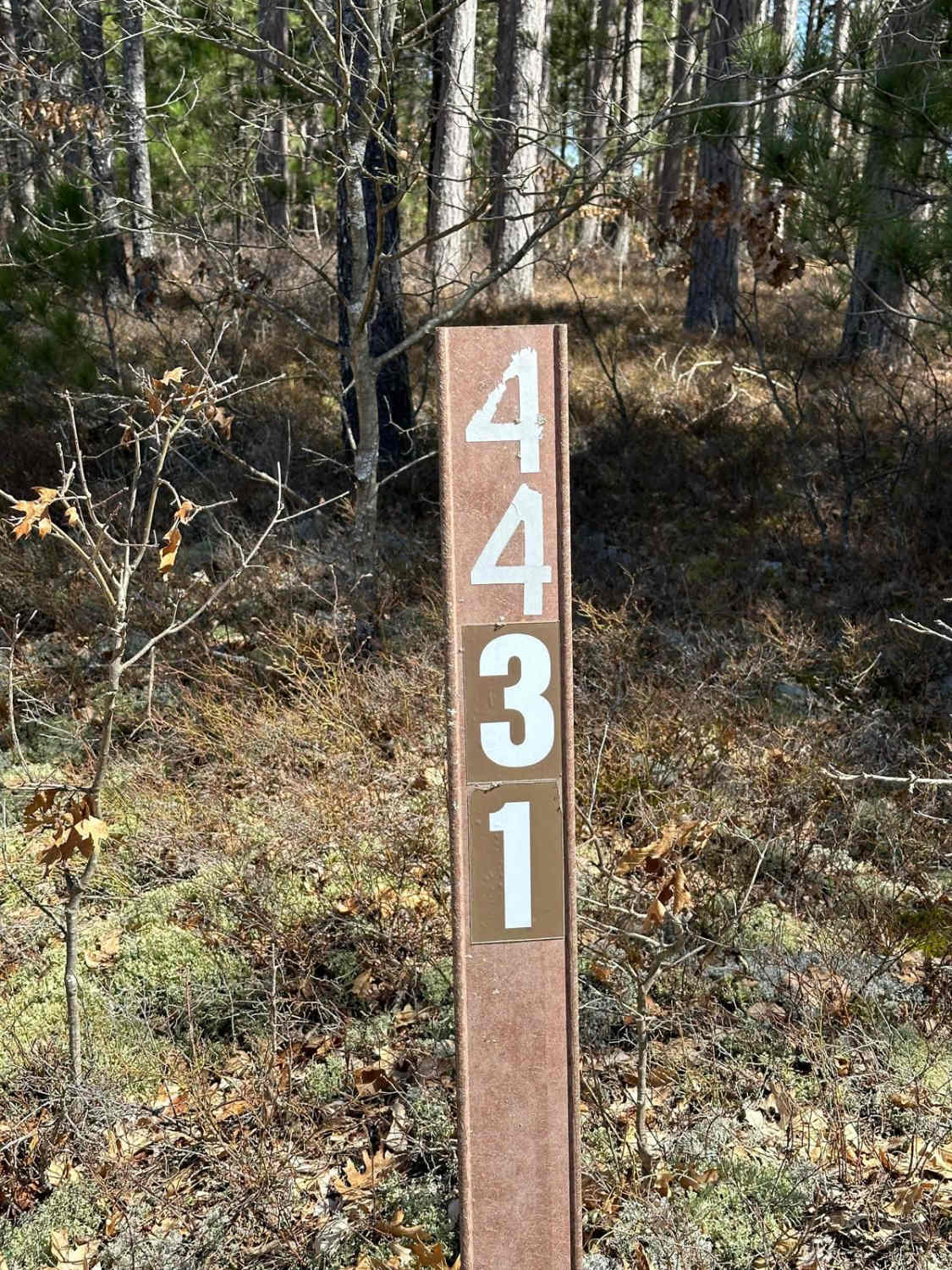 FS 4431