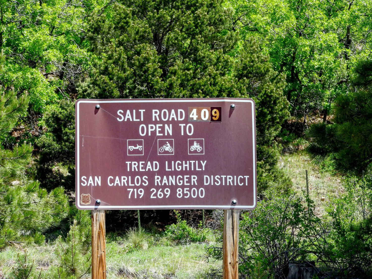 Salt Creek Forest Road 409