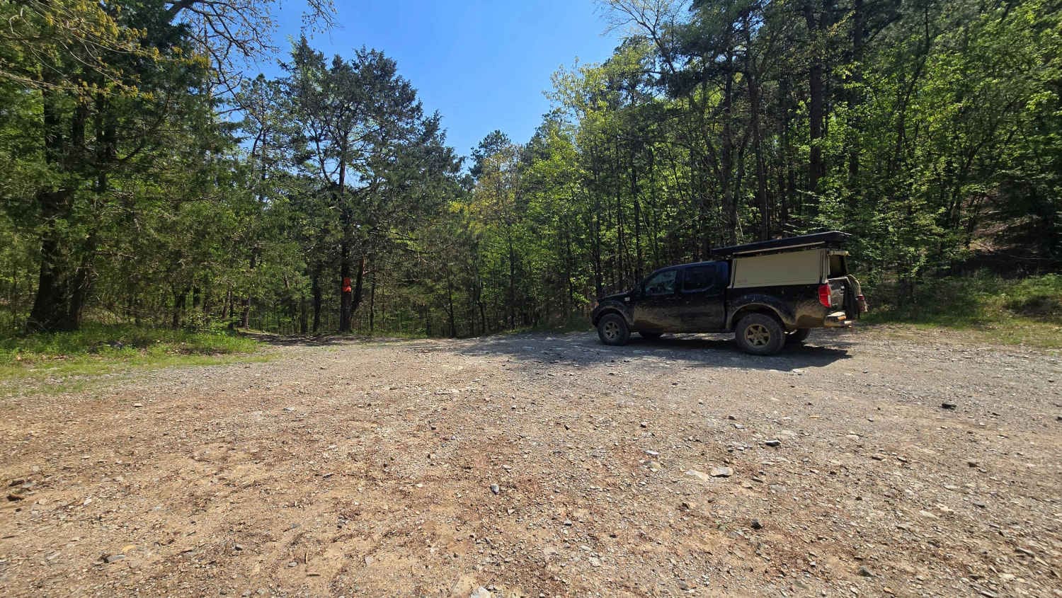 Bee Creek Trail