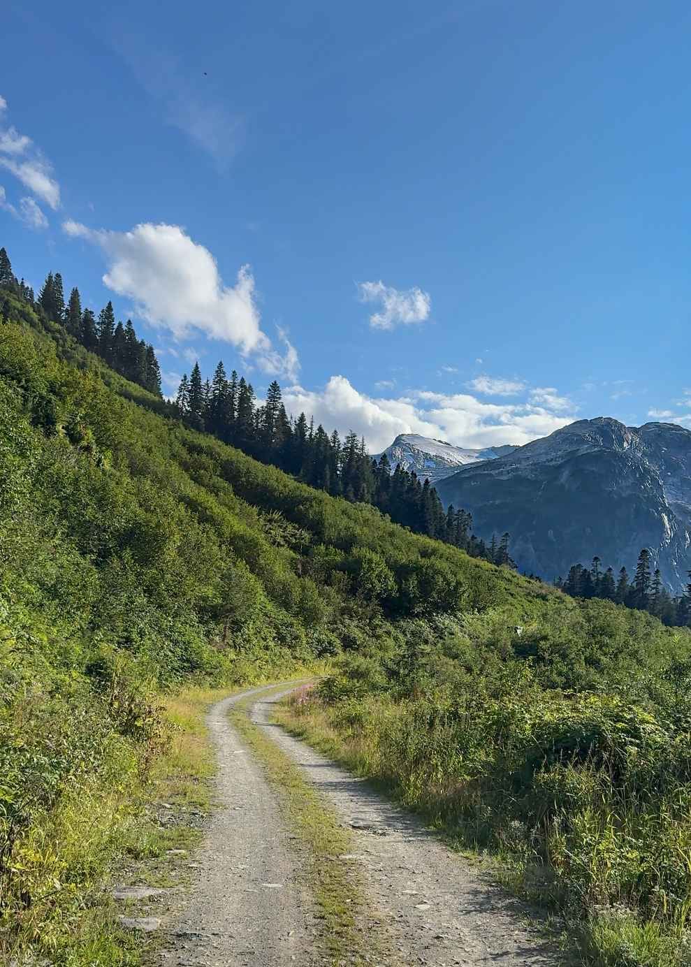 Purgatory Glacier Lookout FSR