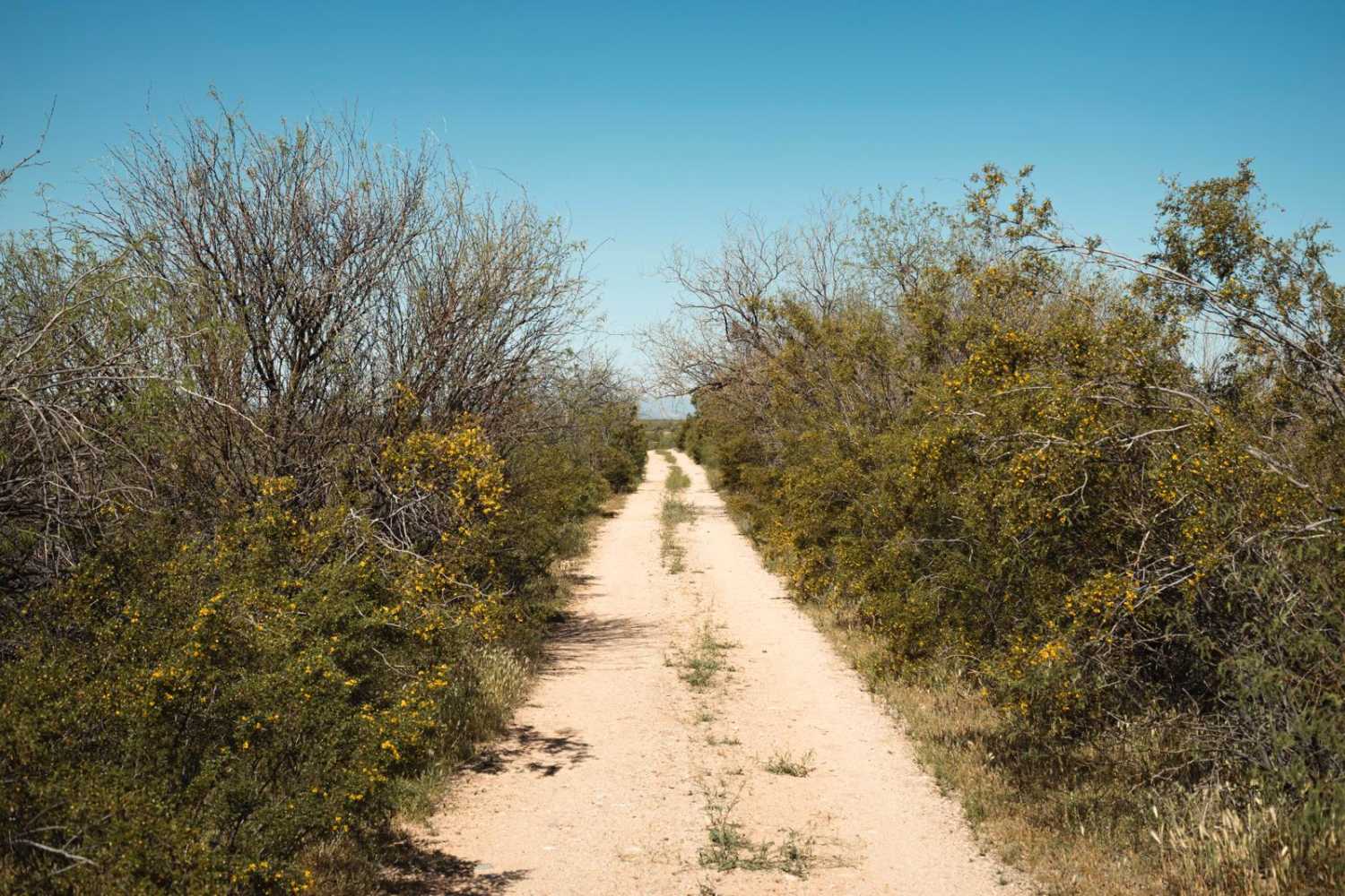 Black Hills Loop