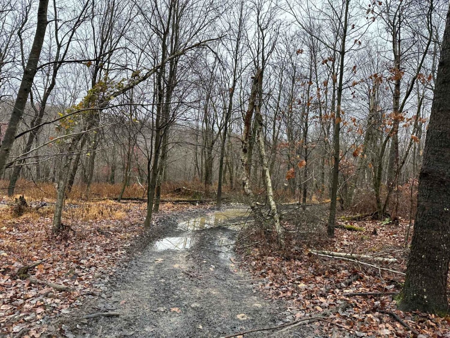 ATV Trail 17