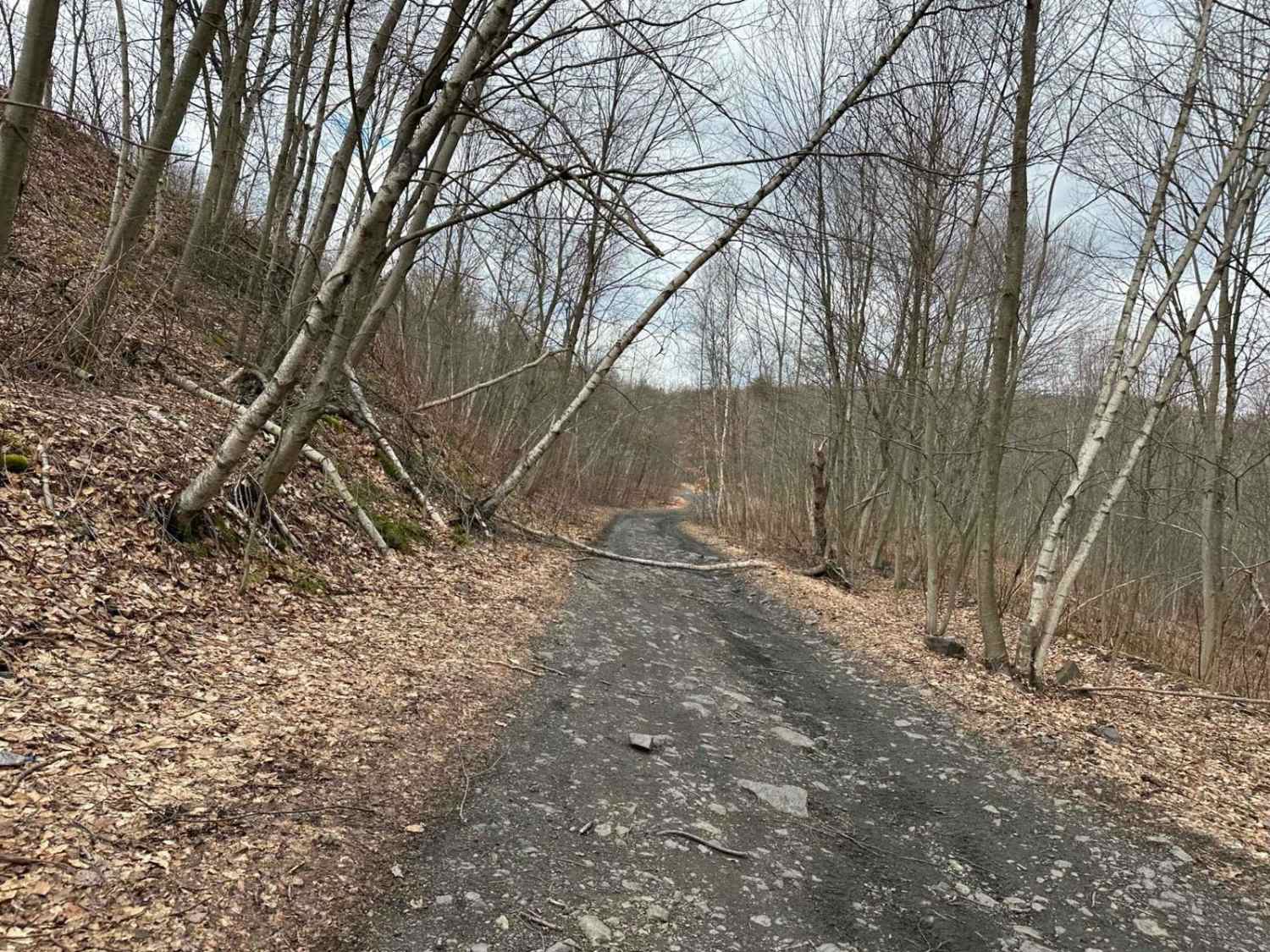 Pennsyl Tucky Highway