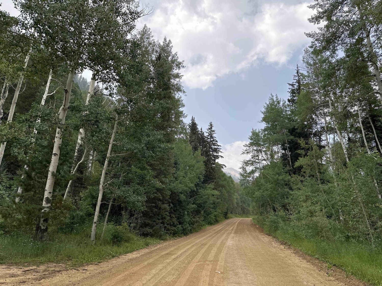 La Plata Canyon/CR 124