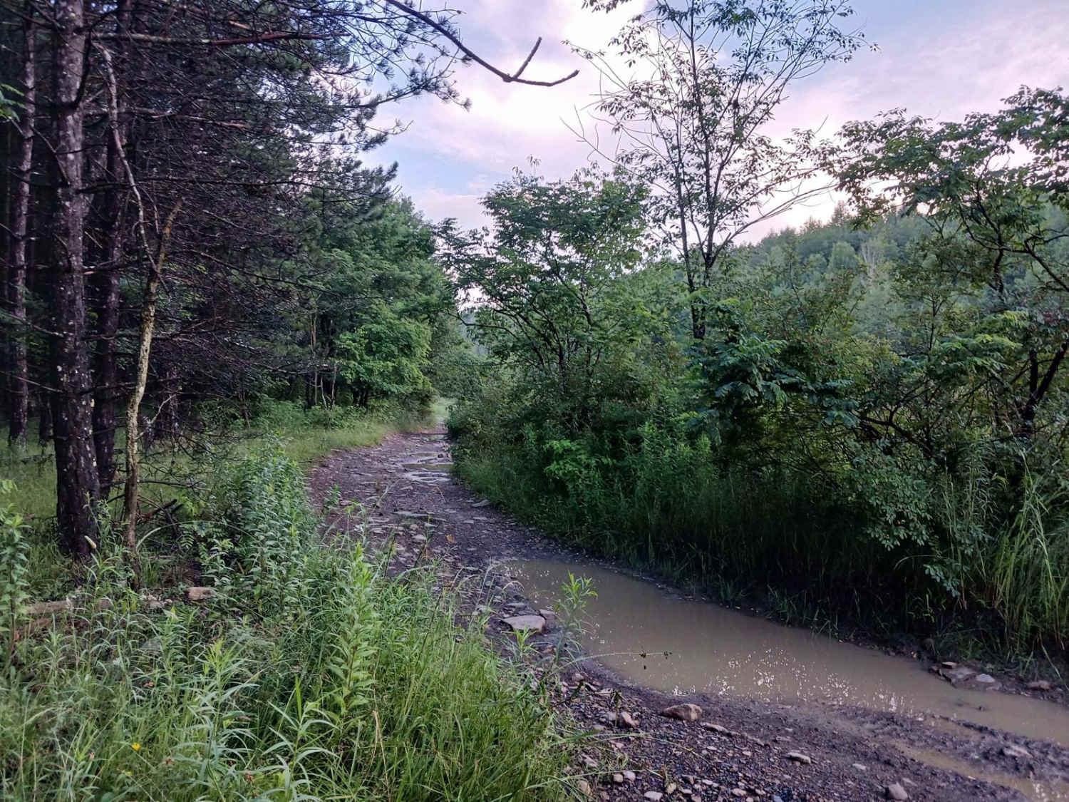 Trail 12N - Rock Run Recreation Area