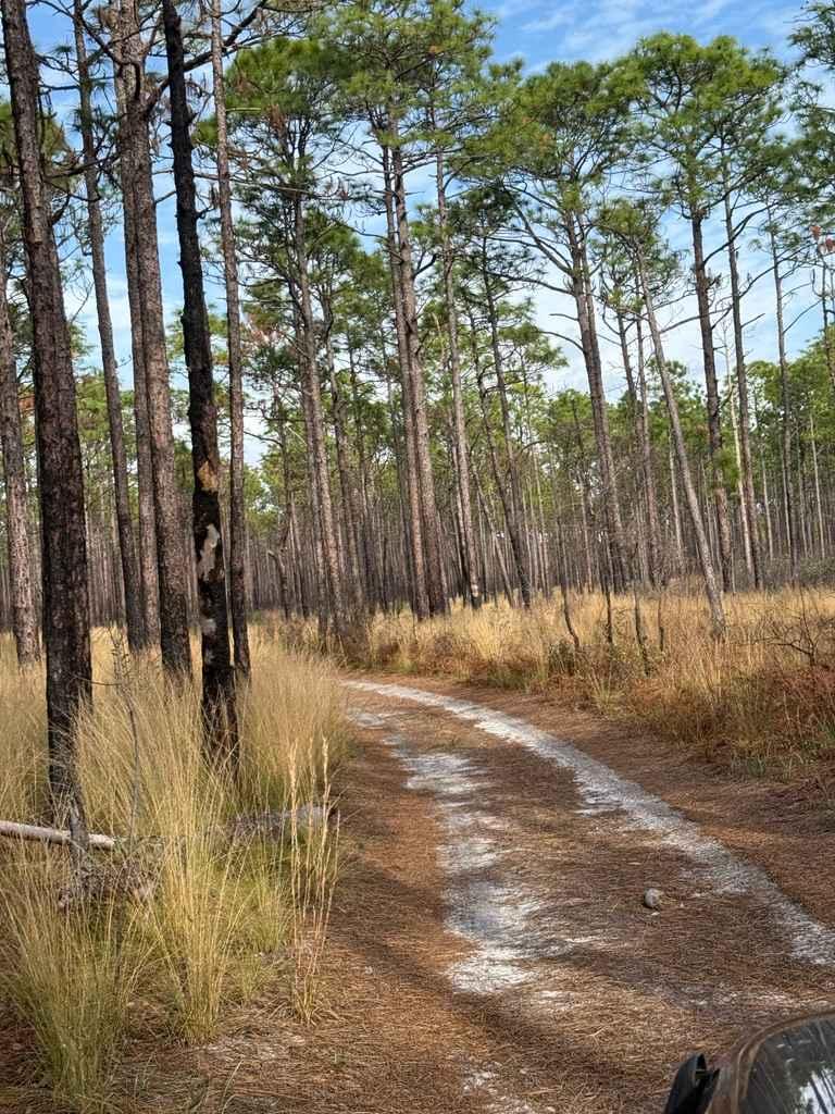 Pettiford Creek Trail 3