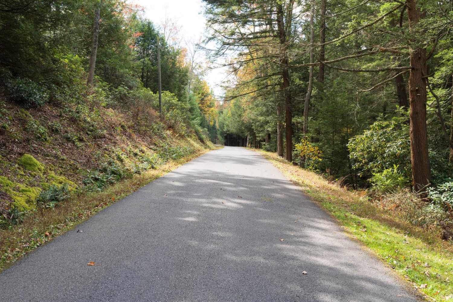Bear Meadows Road