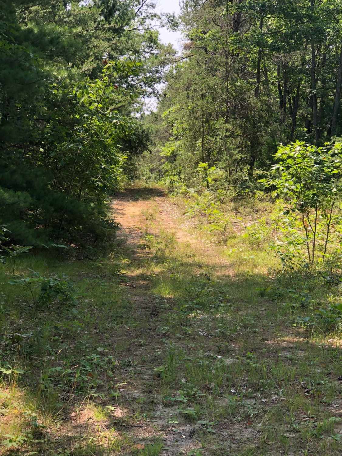 Badger Trail