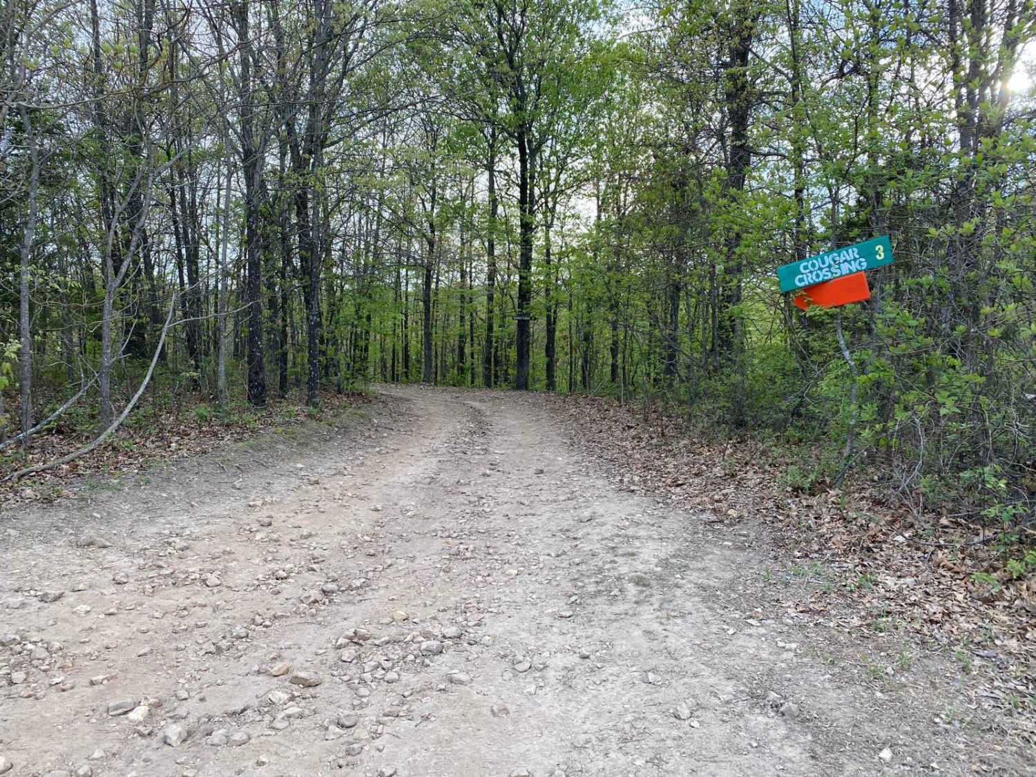 Cougar Crossing
