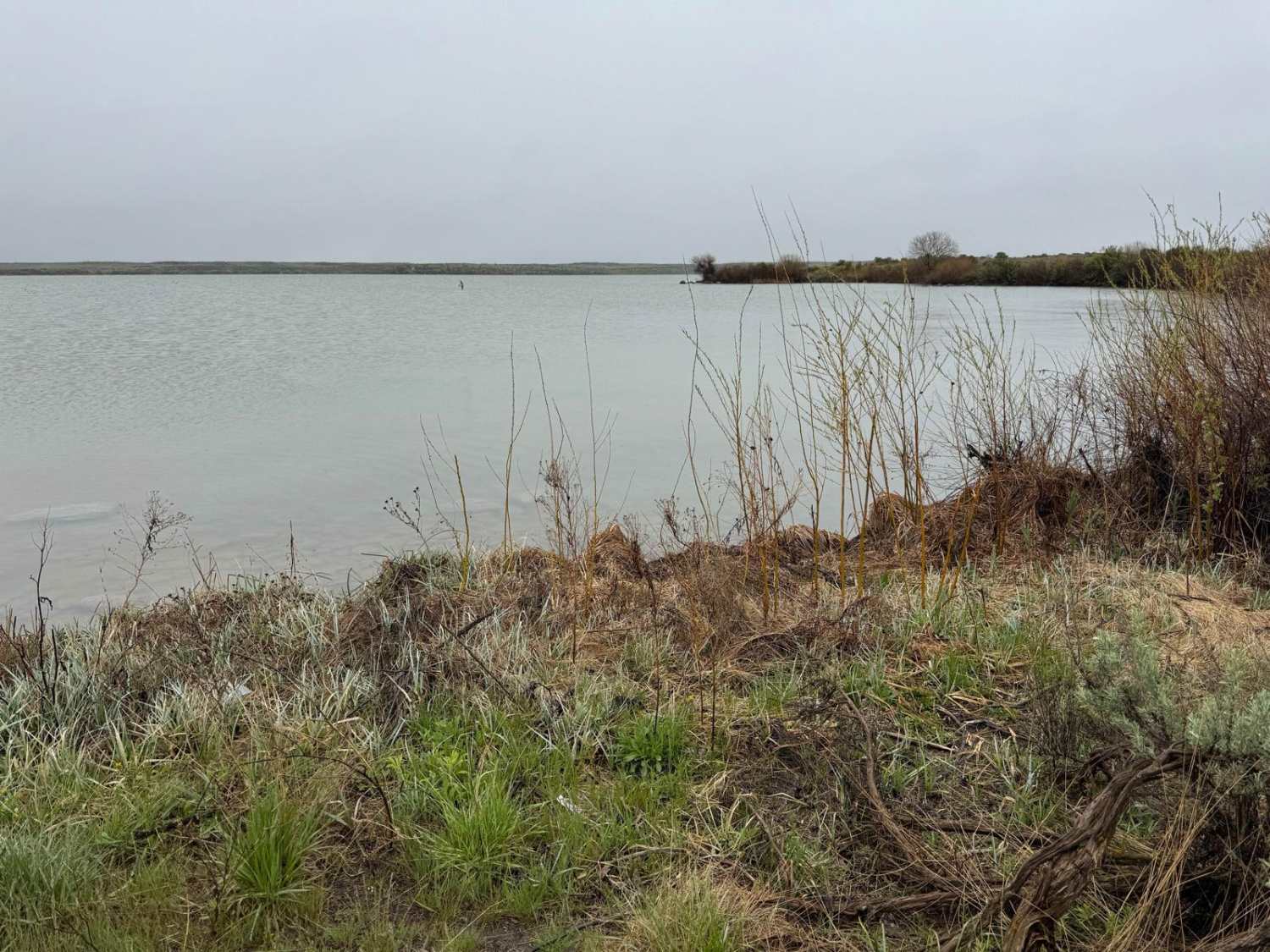 Lake View 