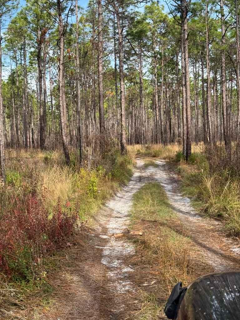 Pettiford Creek Trail 3