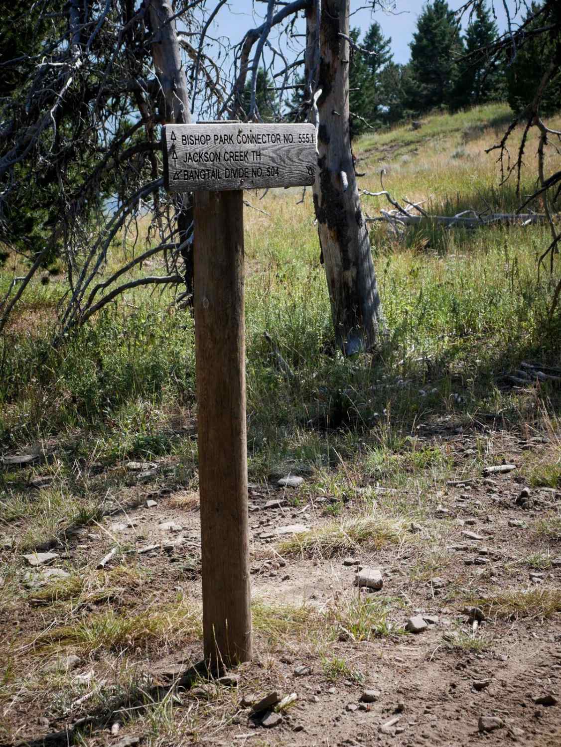 Bangtail Divide 