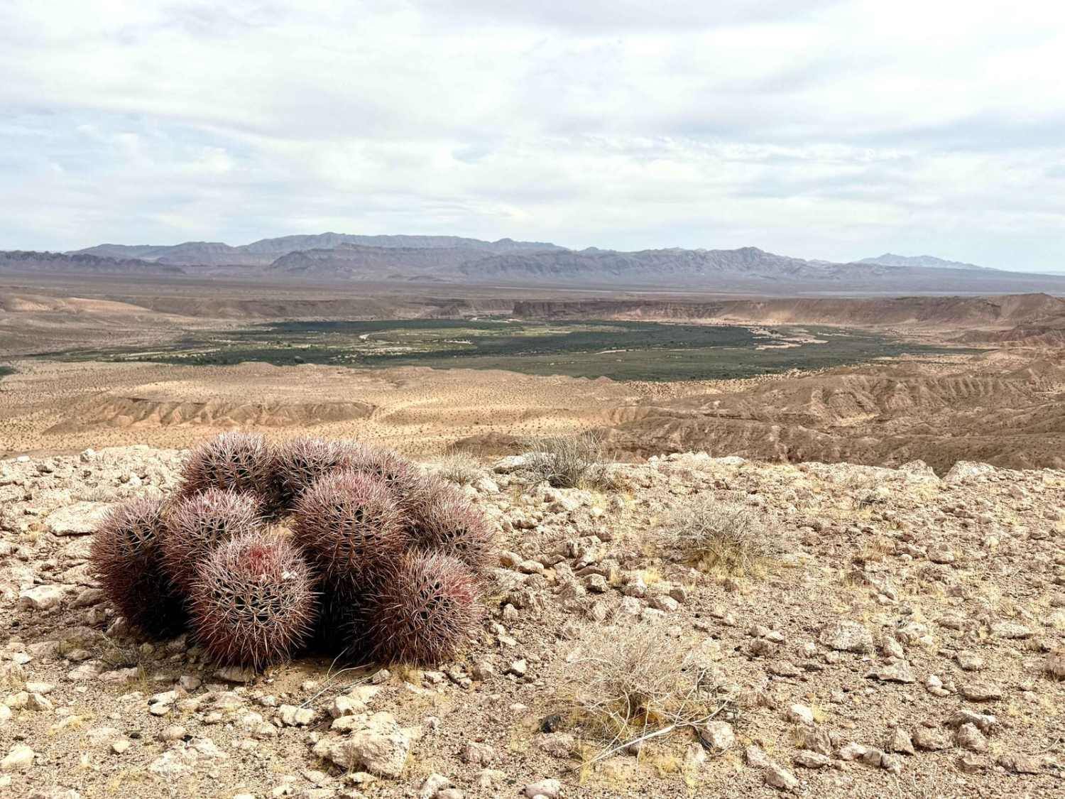 Mormon Mesa Southeast Rim