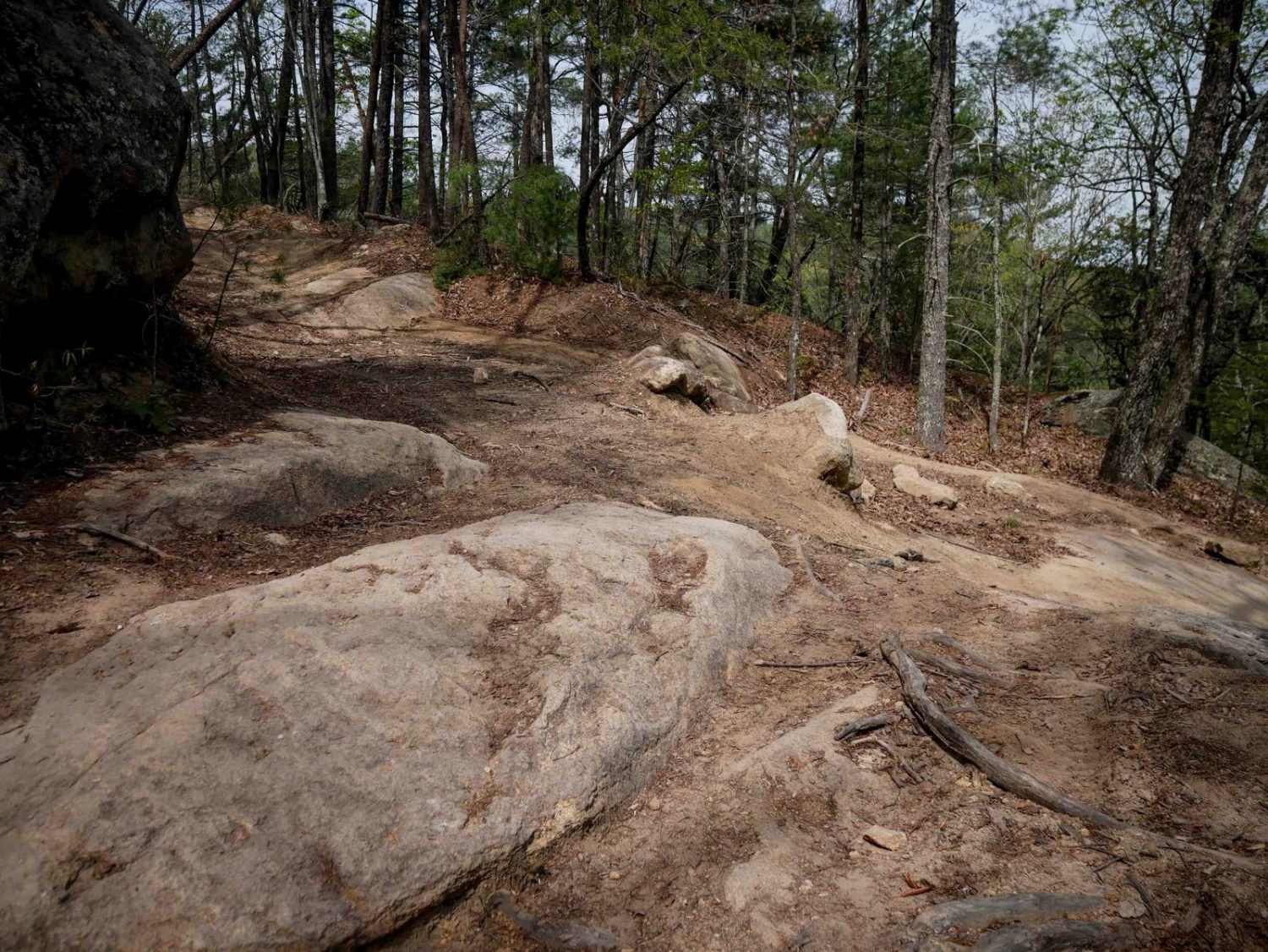 Trail 10
