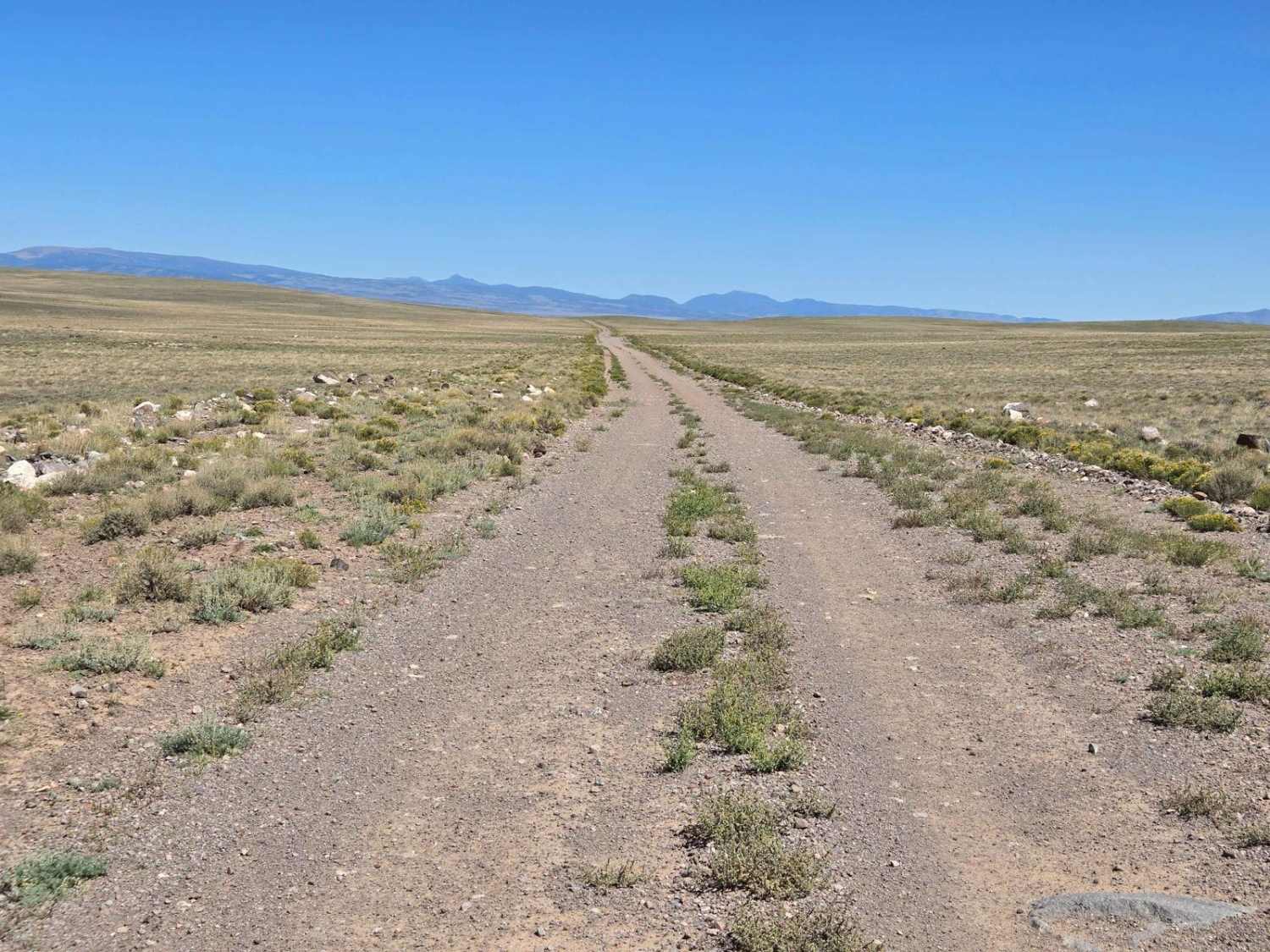 Parker Mountain 17