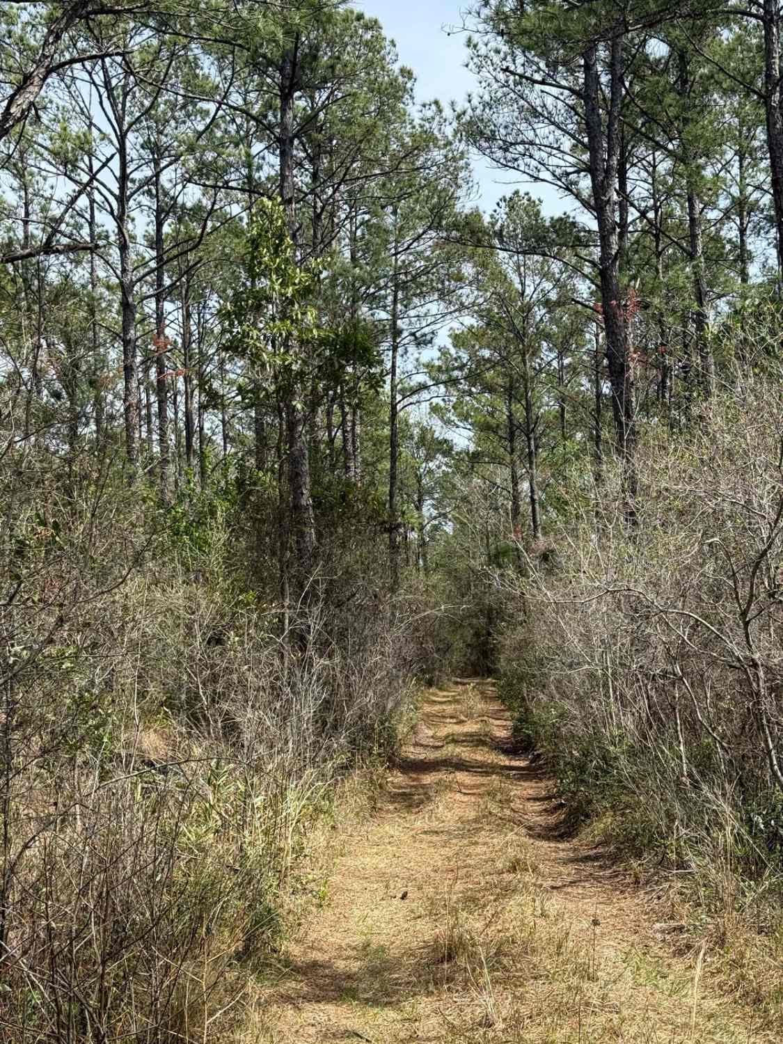 Pringle Road Spur 1