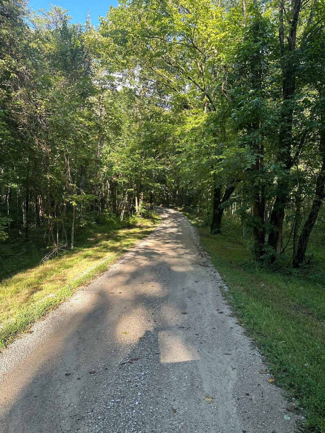 New Hope Lookout Tower Road - DBBB