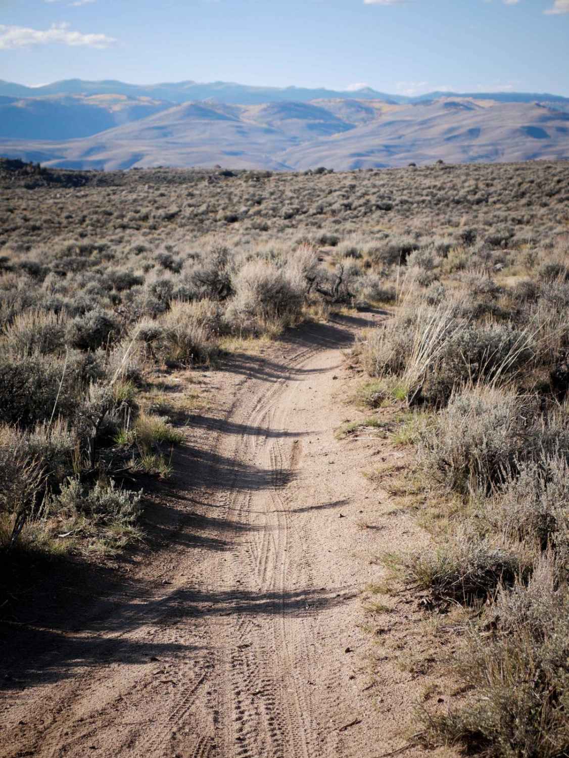 Evans Loop 