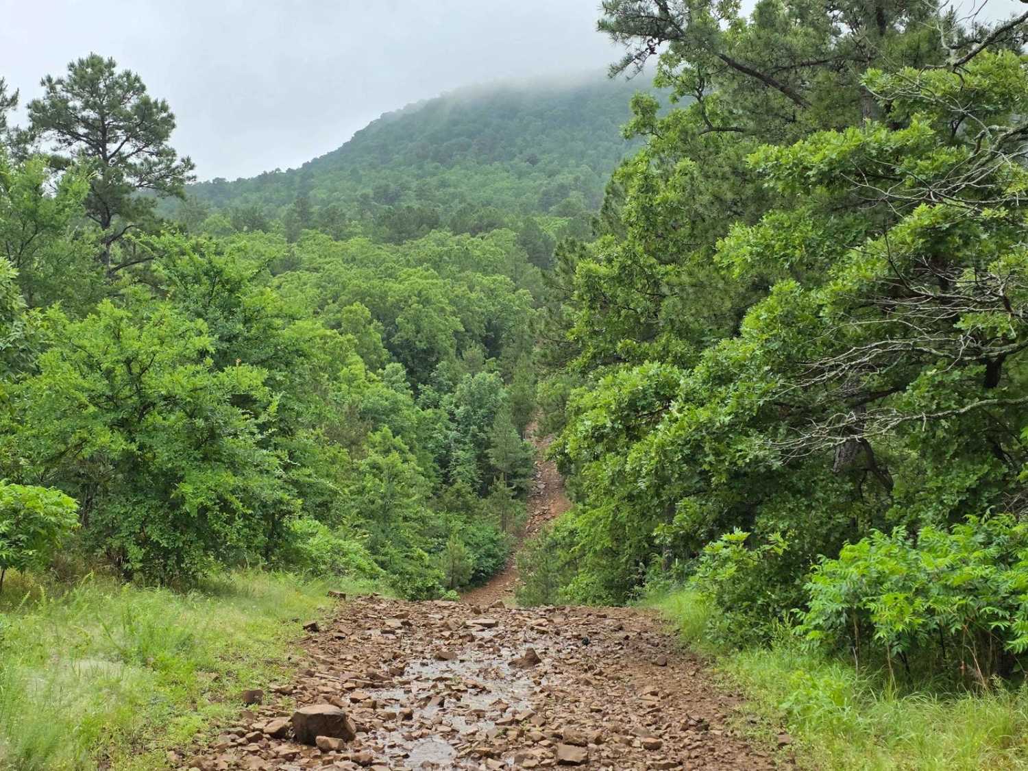 West Boundry Trail