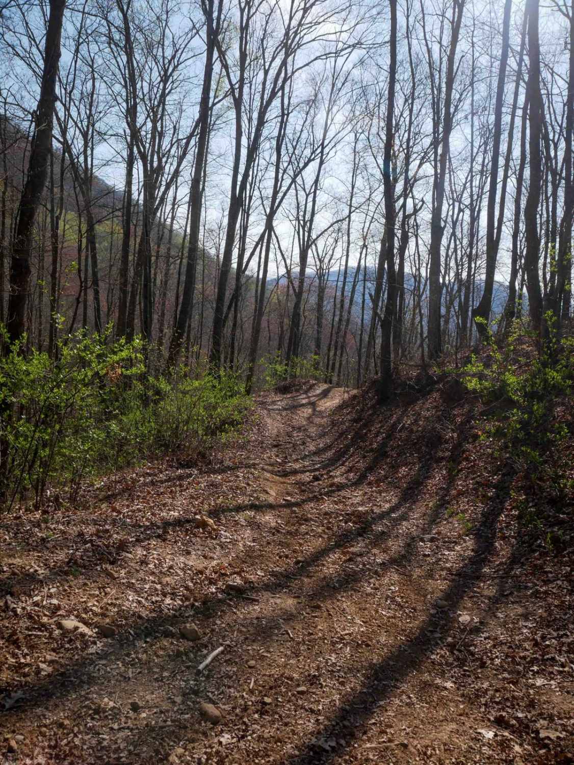 Locust Gap Trail 2