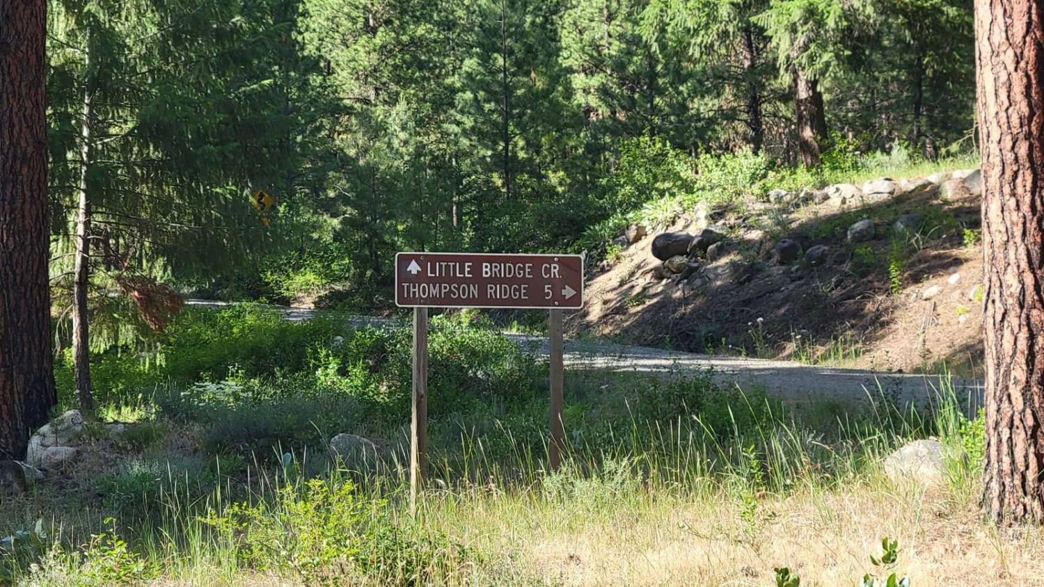 FR 4415 - Little Bridge Creek