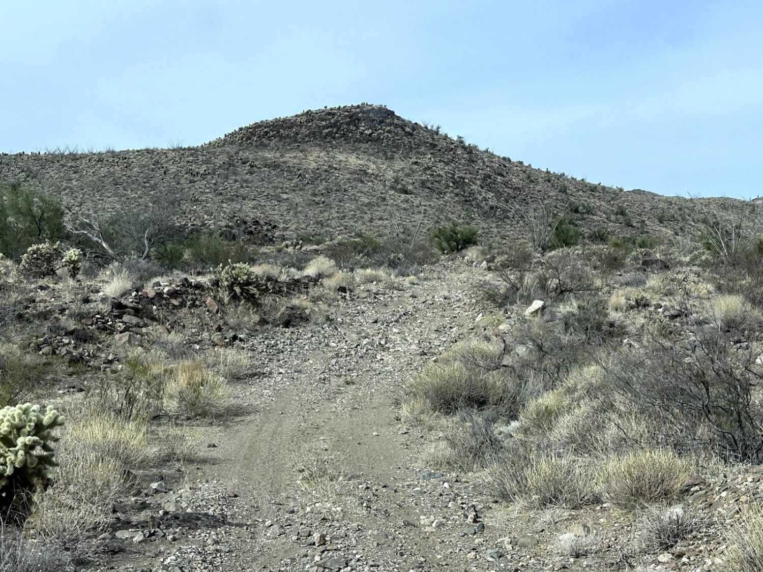 Cholla Pass Trail - H1165