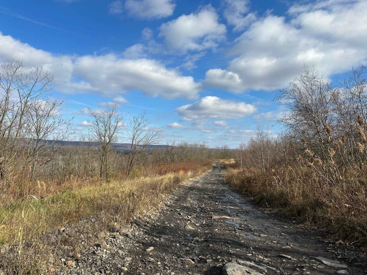 ATV Trail 16
