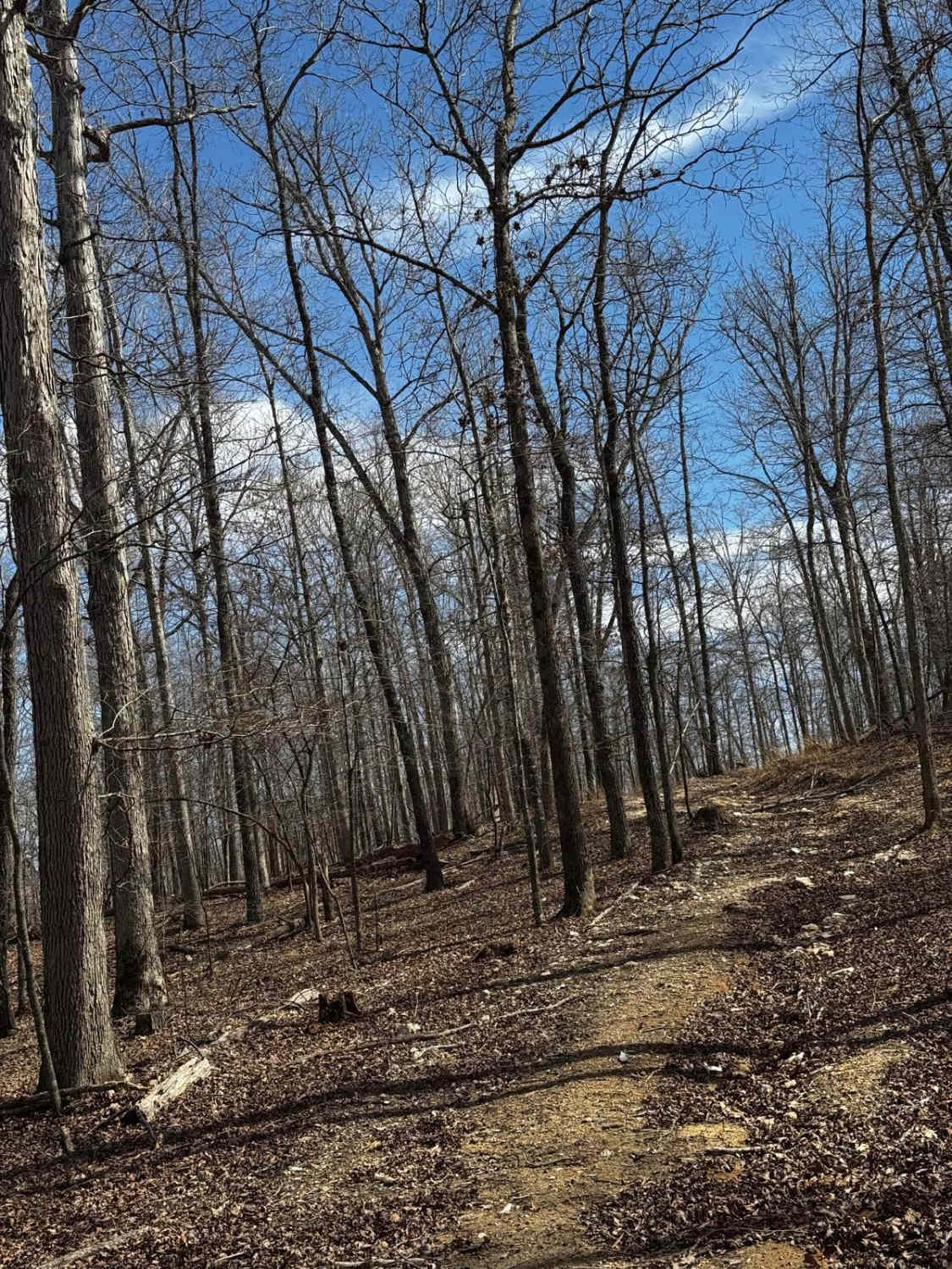 Hilllside Backtrack Missouri - 0d6c1543 4356 41b0 8050 4d74ba324c7e