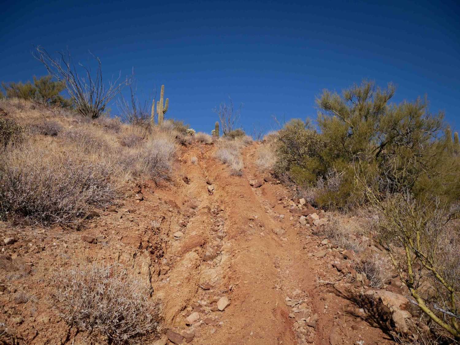 Sim's Trail  