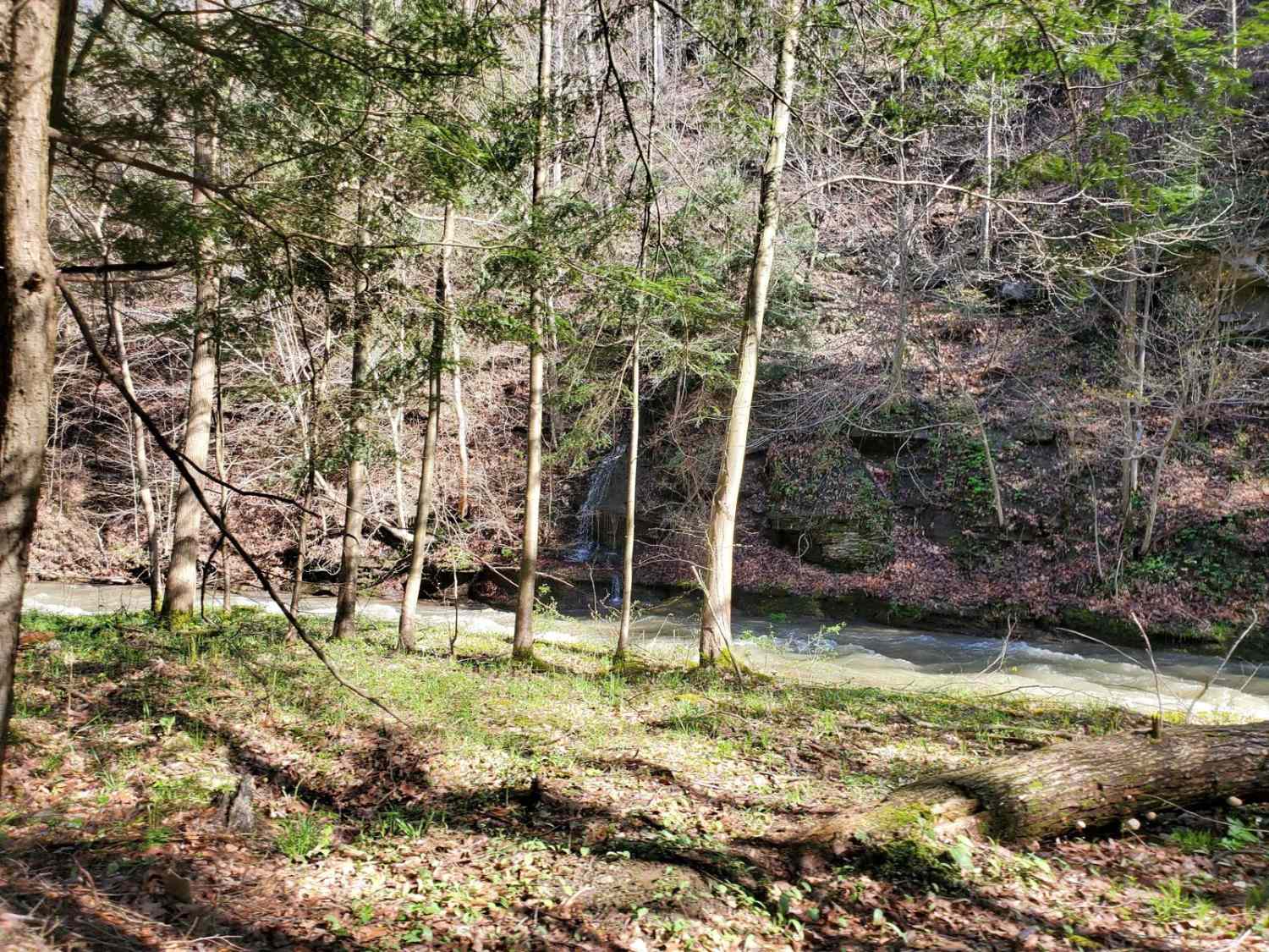 The Track