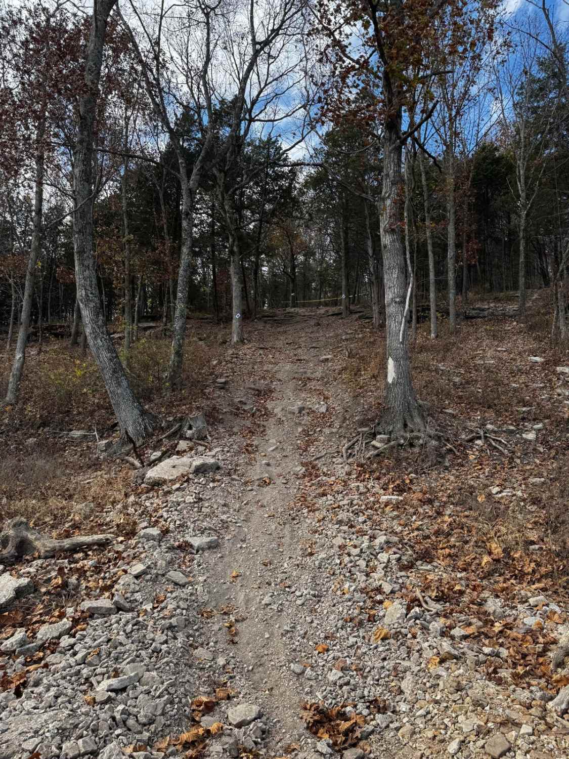 Recovery Bypass Loop
