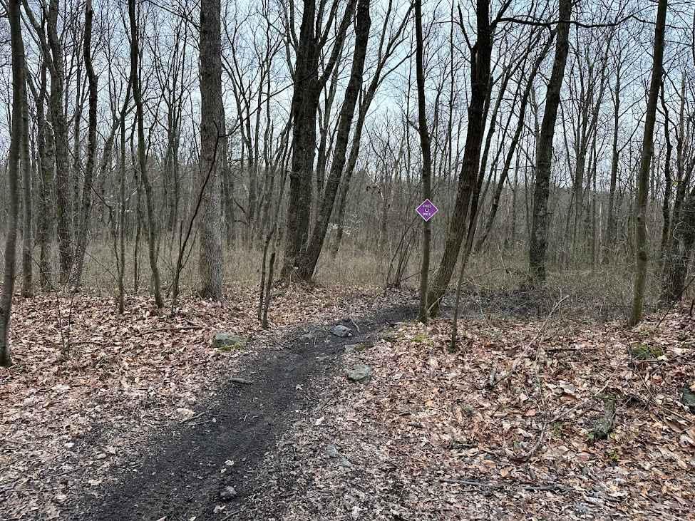 St. Keirns Birchwood Single Track