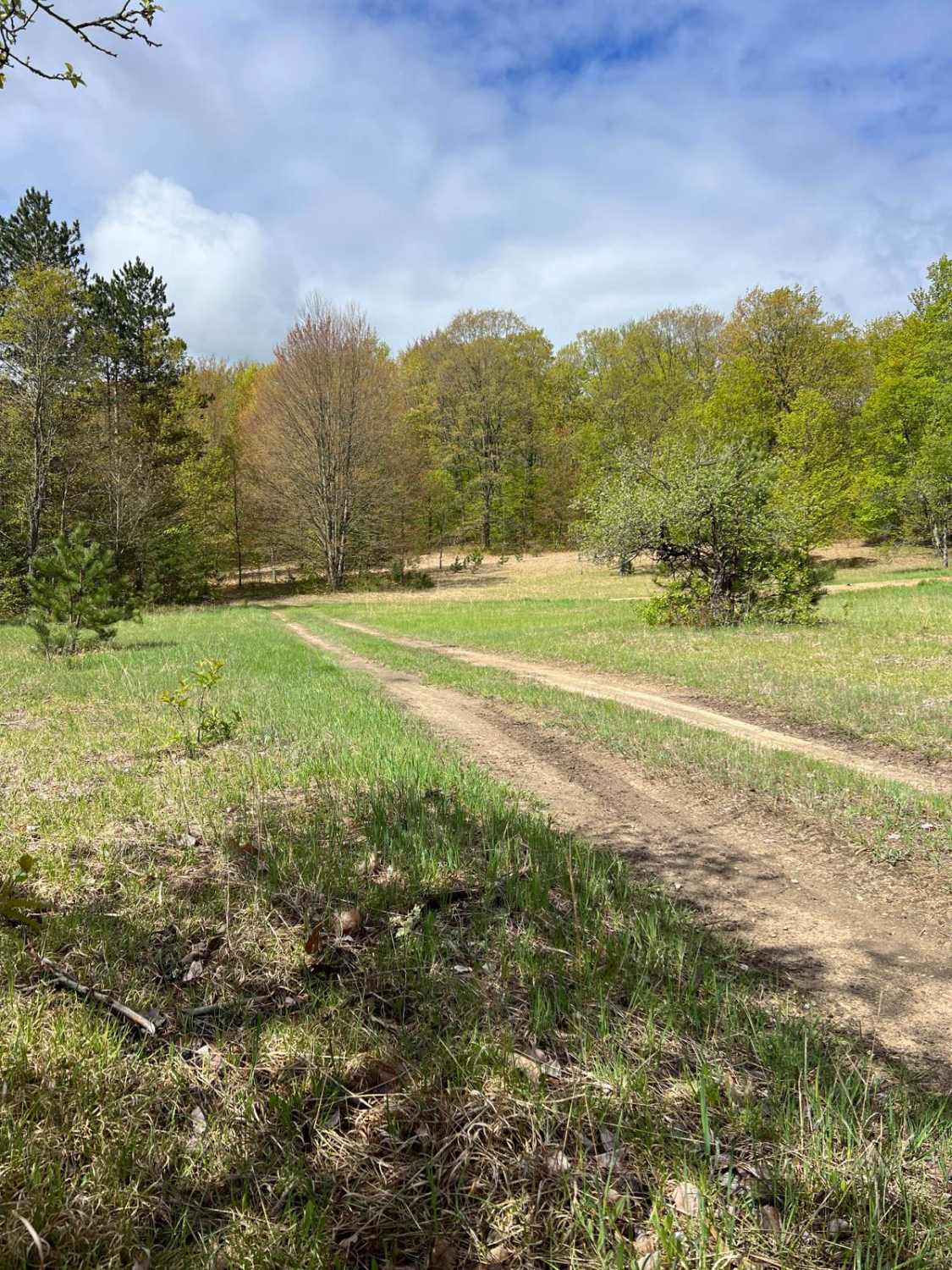6 Loop Trail