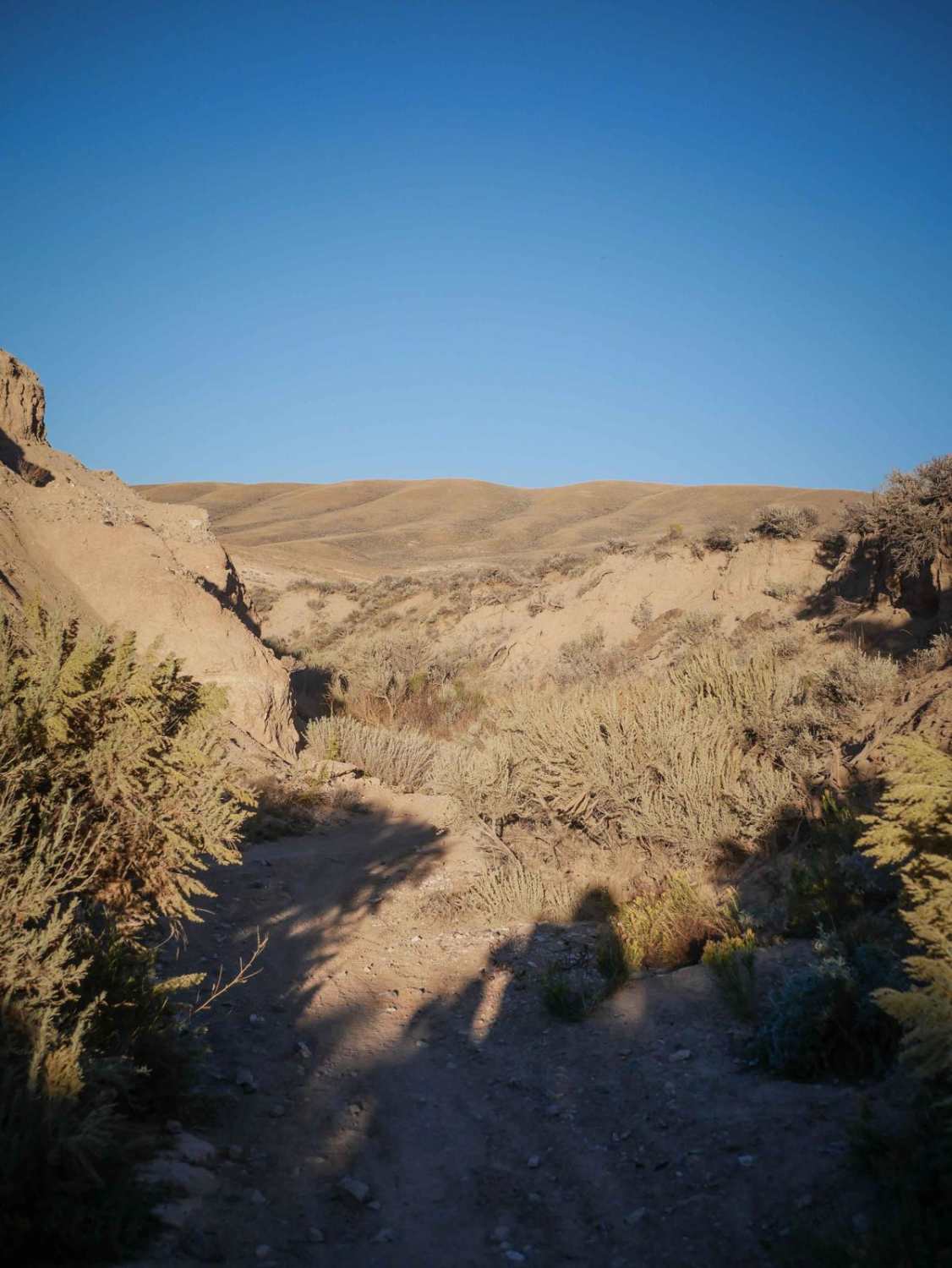 Ditch Loop 