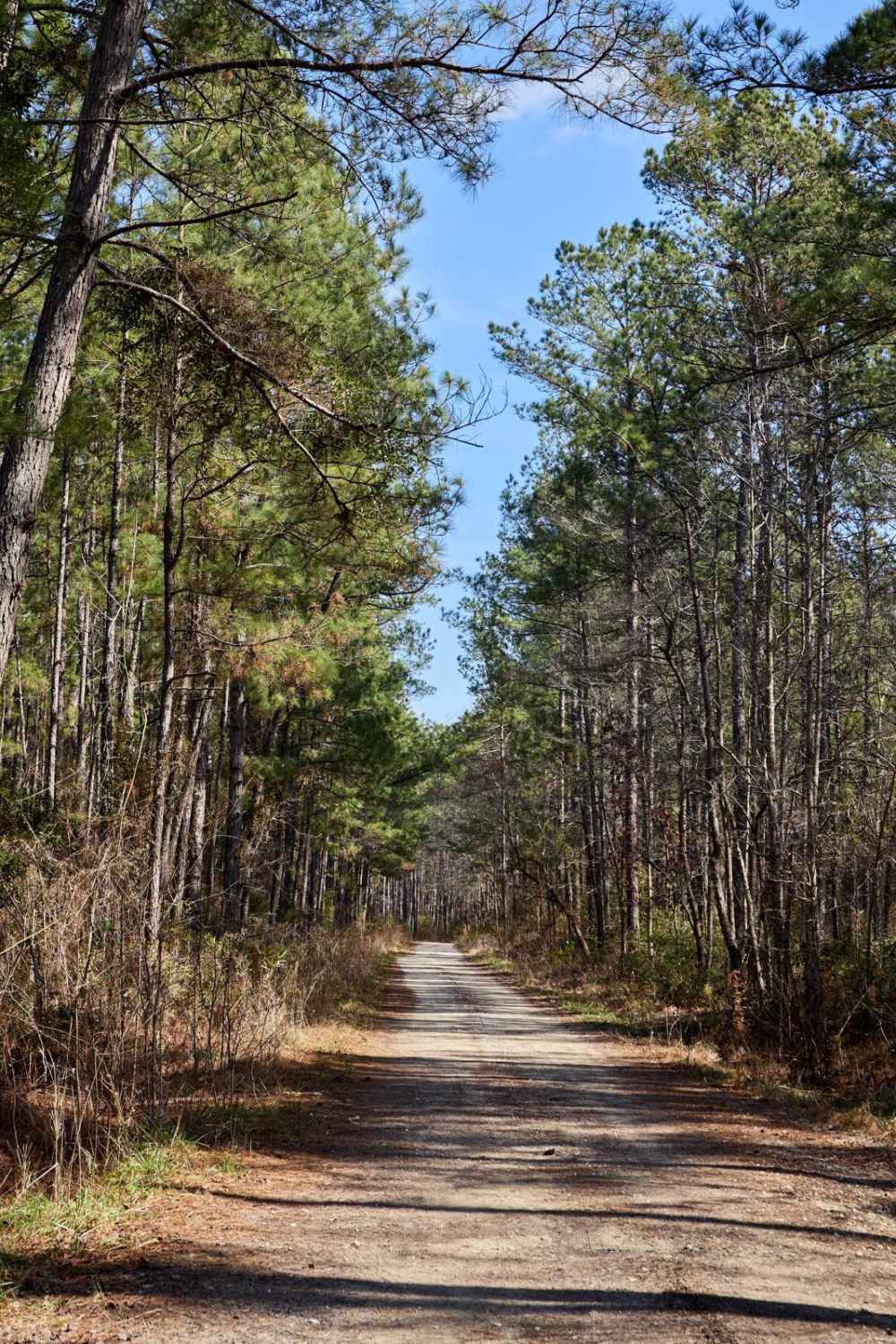 FSR6034 - Wiggins Road