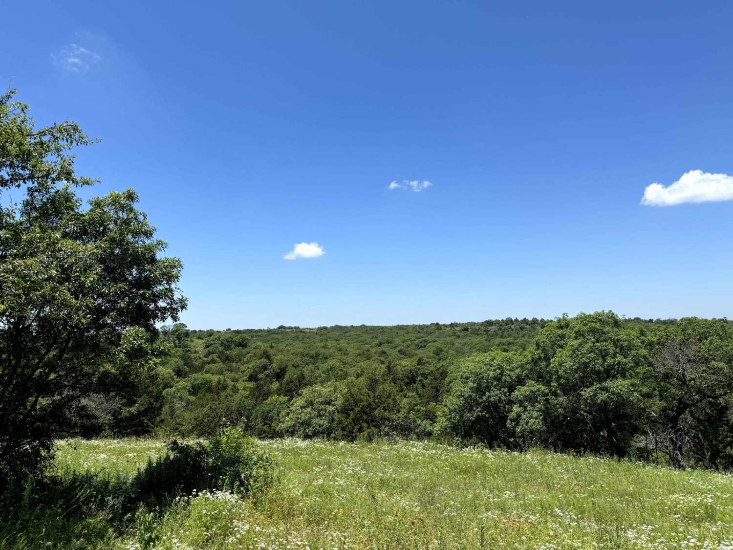Scenic Overlook - 900H