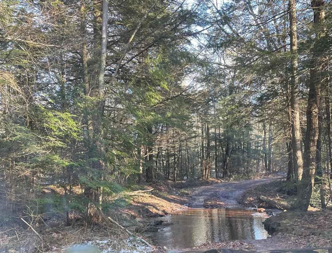 4th Run Trail