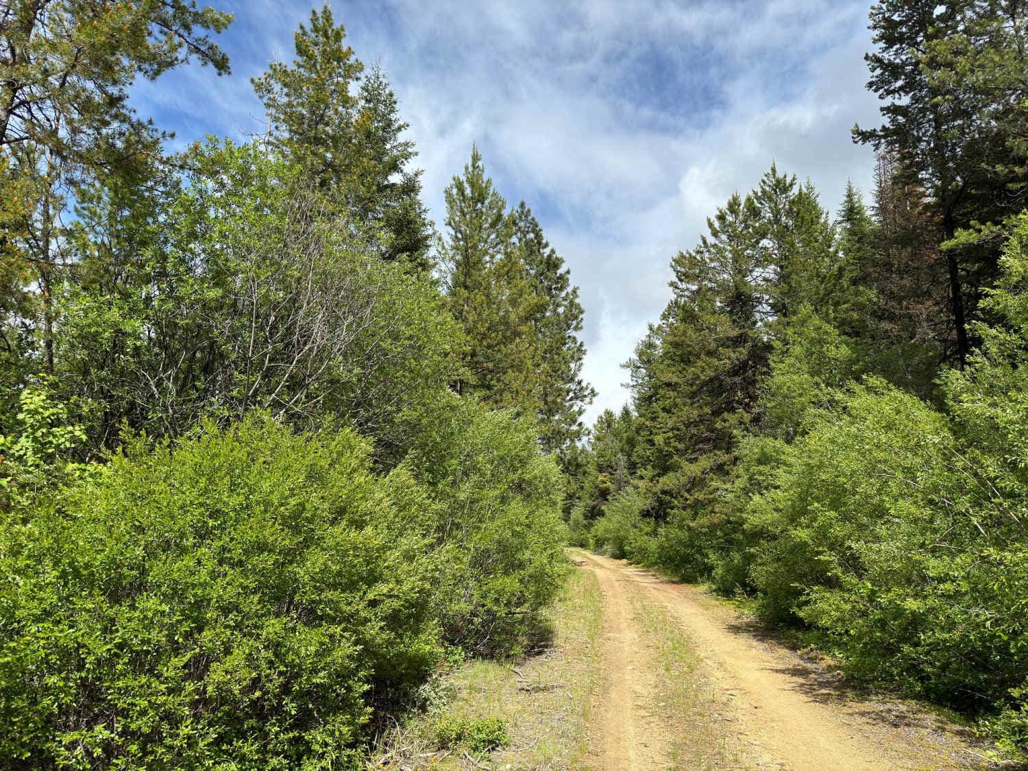Upper Spoon Creek
