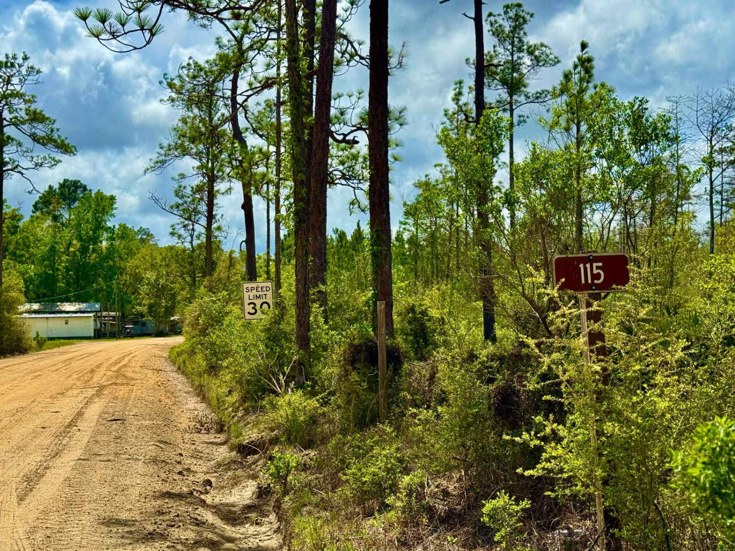 Big Cypress - FS 115