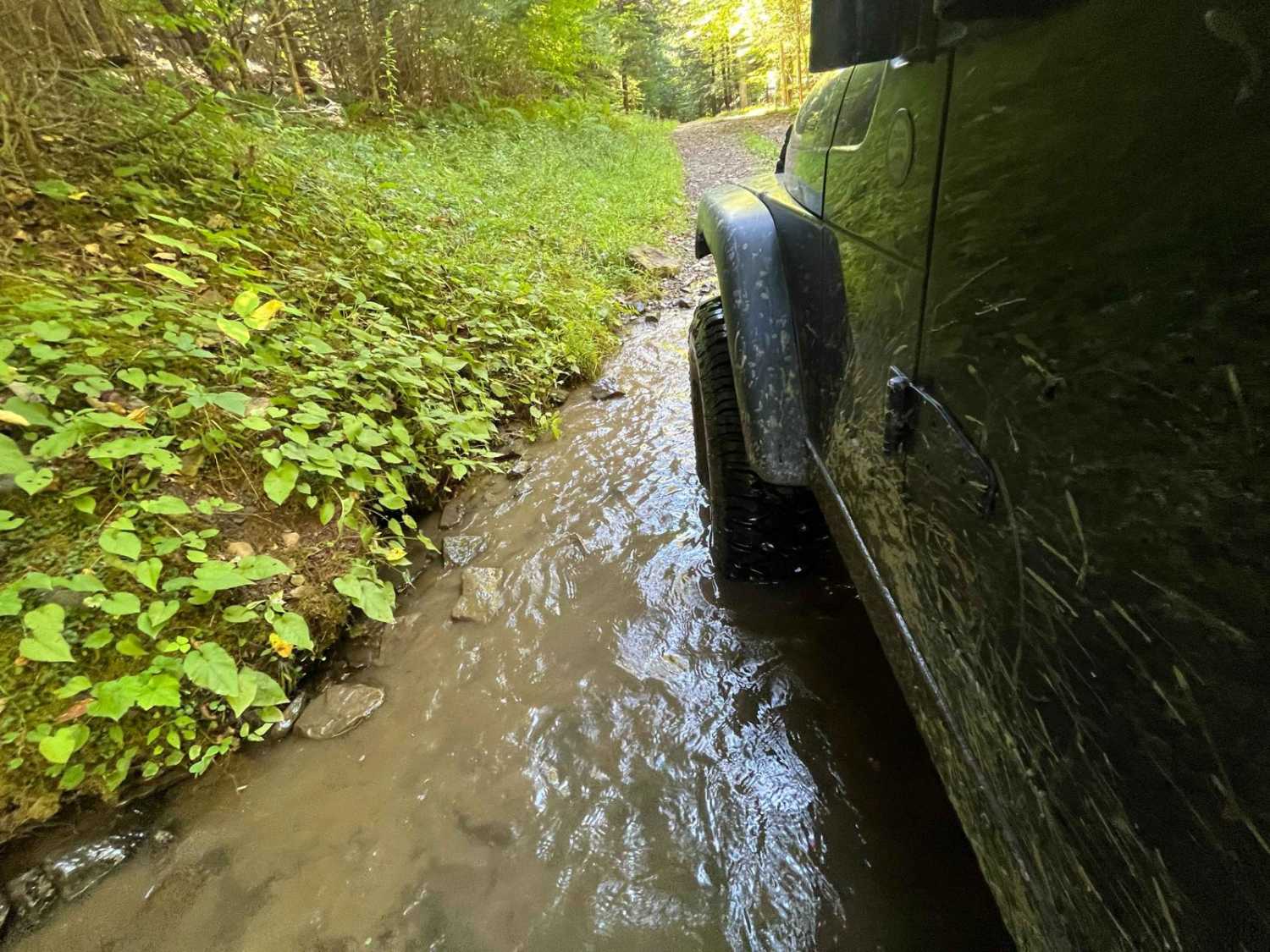 Wildcat Hollow Limited Access
