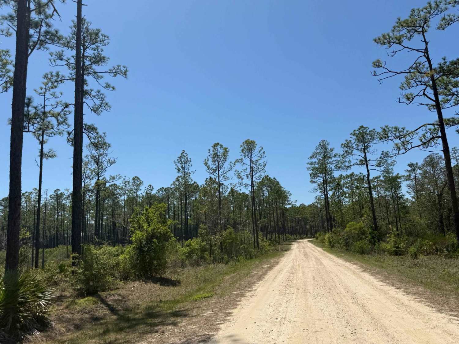 Wrights Landing - FS 101