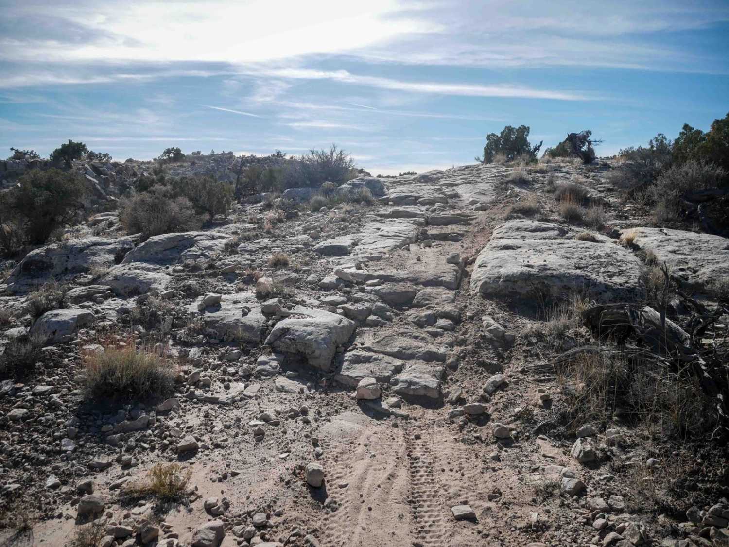 Odds West Access Trail 