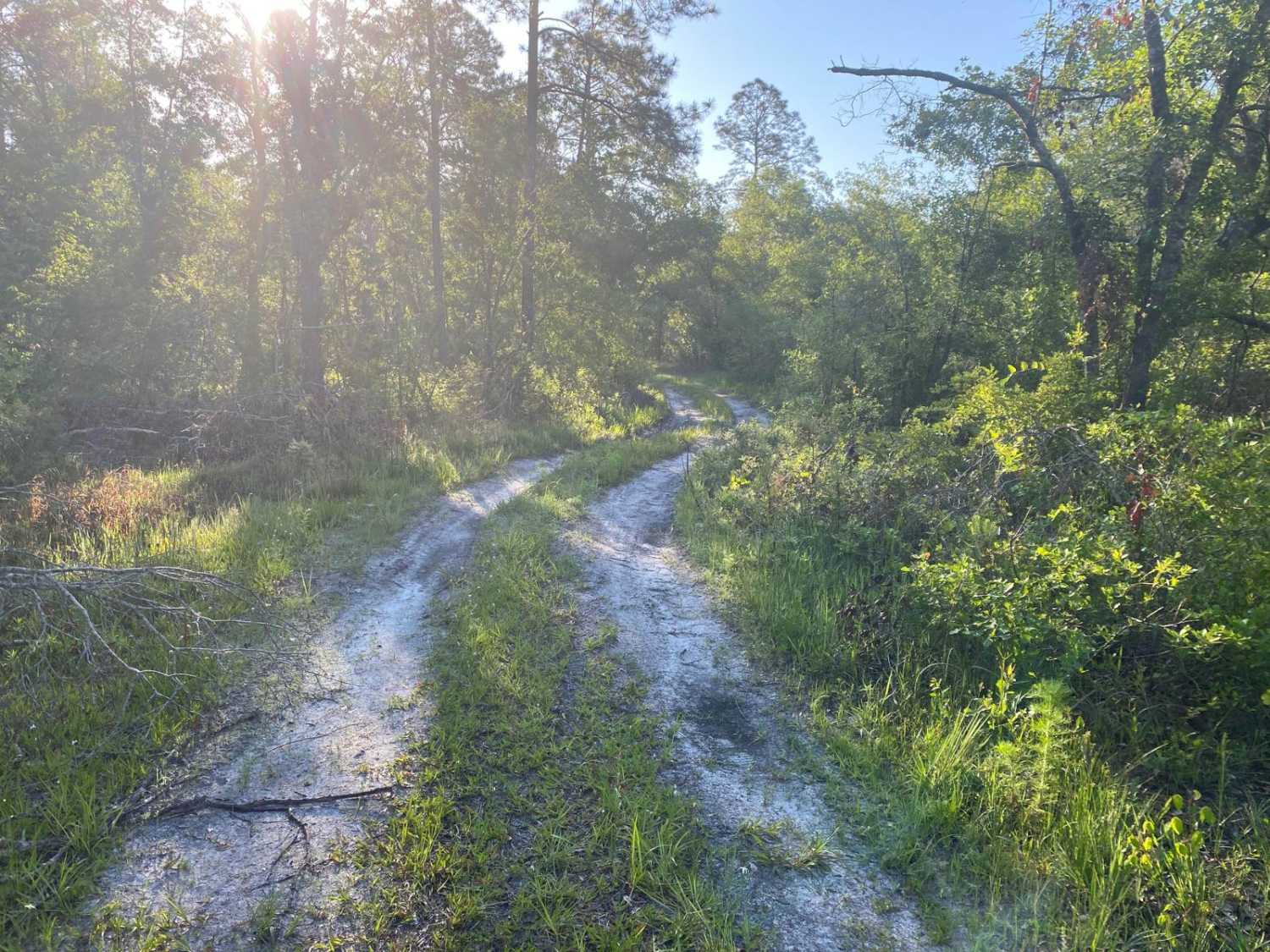 Porter Gap Road