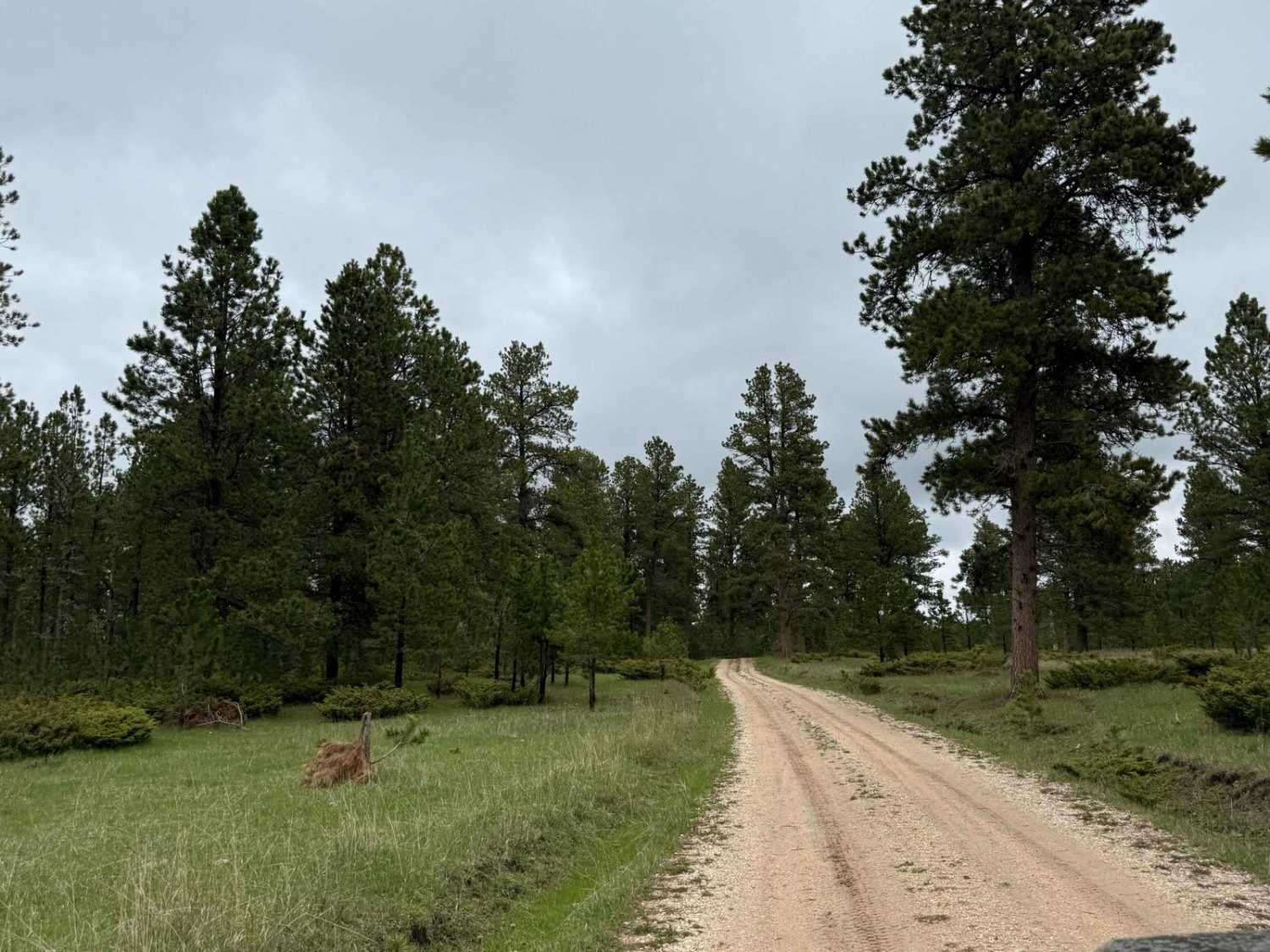 Bear Run