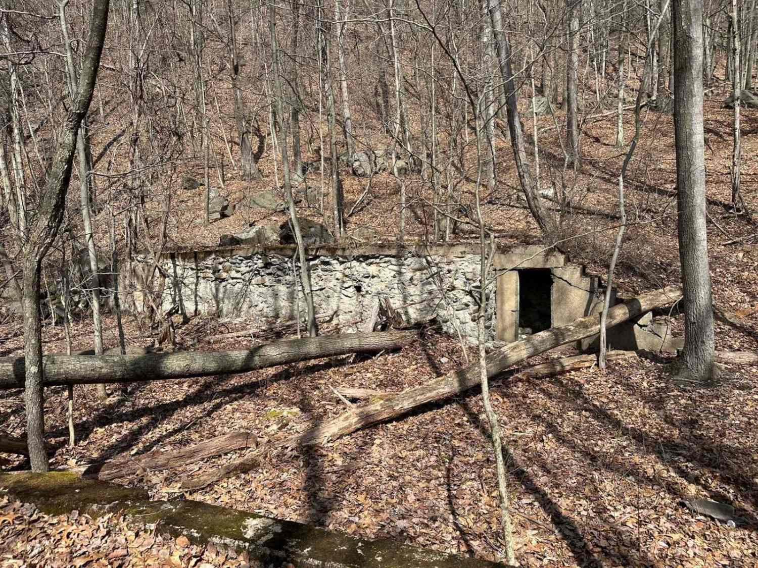 Ashland 14
