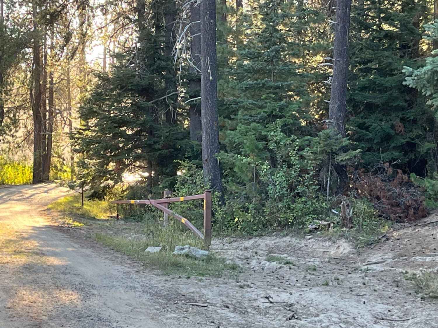 Moose Creek Campground Cutoff